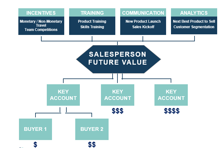 Incentive Analytics  – Salesperson Future Value